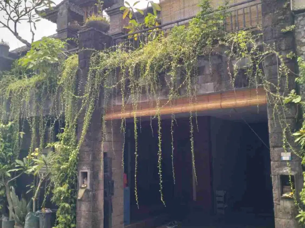 rumah jalan Jepun Gatsu timur denpasar bali