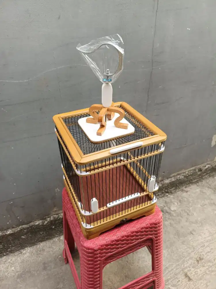 Sangkar cungkok kayu jati ukuran 22x22cm