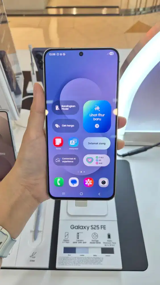 S25 FE 256 new segel