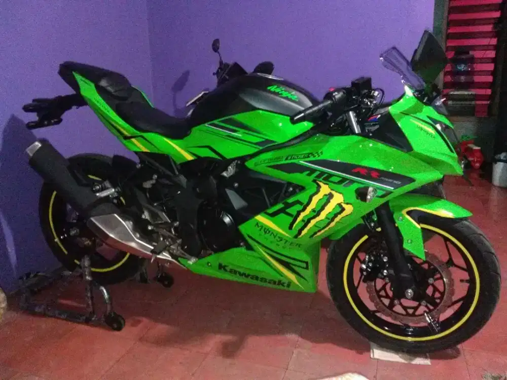 Kawasaki ninja 250 mono