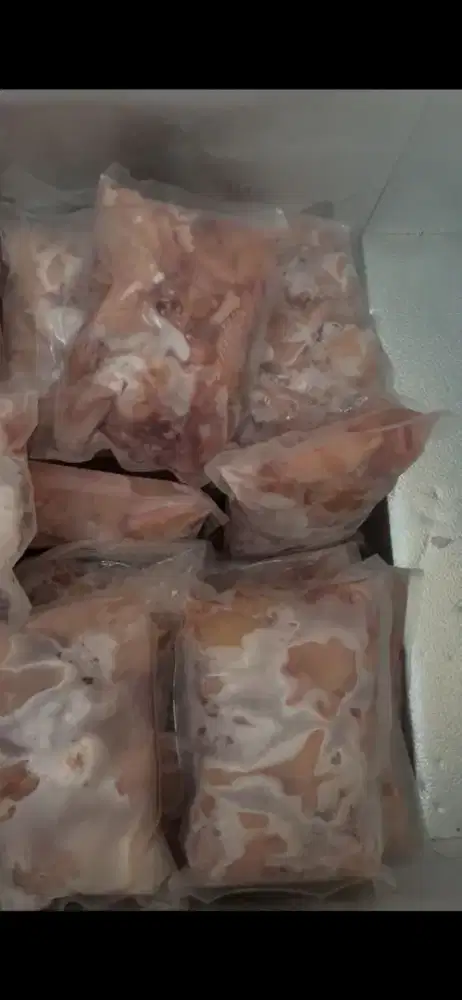 Ayam Frozen potong dan filet