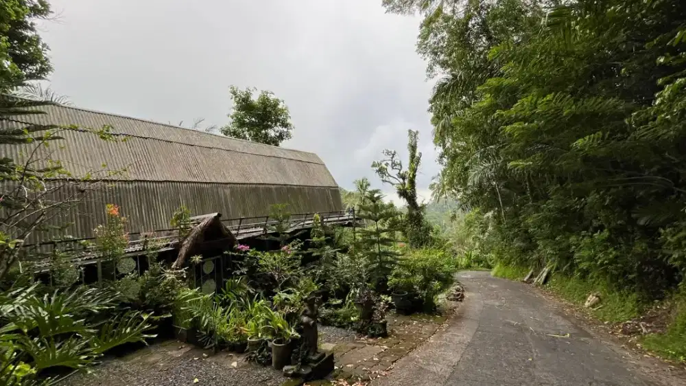 Dijual Tanah Isi Bangunan Rumah Kayu View Sawah Los Sungai Di Penebel