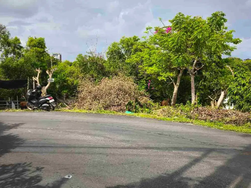 dijual tanah 3,19 are IDR 600 juta per are  jln goa gong atas ungasan  Kuta Selatan Badung Bali