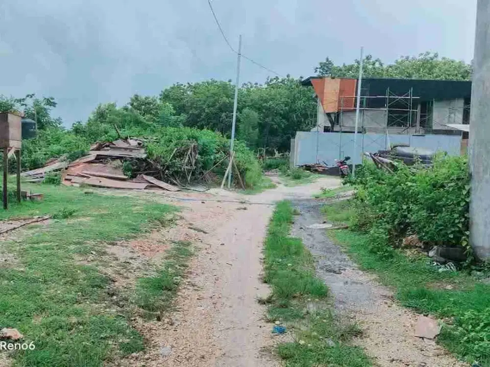 dijual tanah murah 6,19 are harga nett 350 juta per are  dekat SMP negeri 5 Kutuh Kuta Selatan Badung Bali
