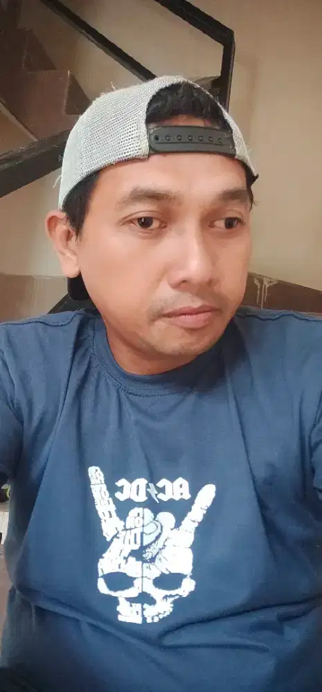 Catsitter/pengasuh dan merawat kucing