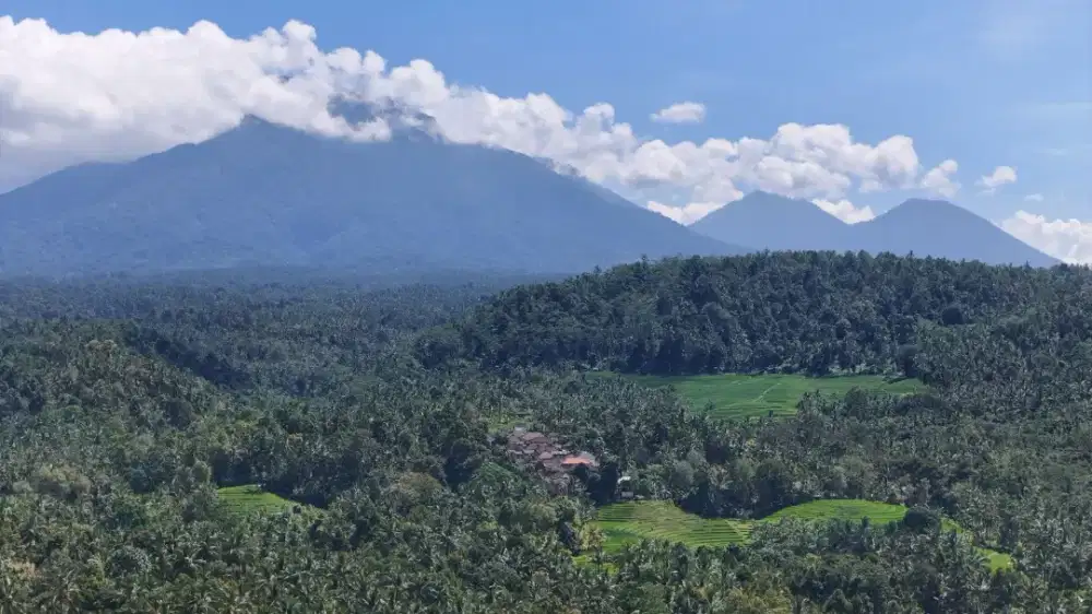 Dijual Tanah View Sawah Dekat Air Terjun Singsing Angin Tabanan Bali