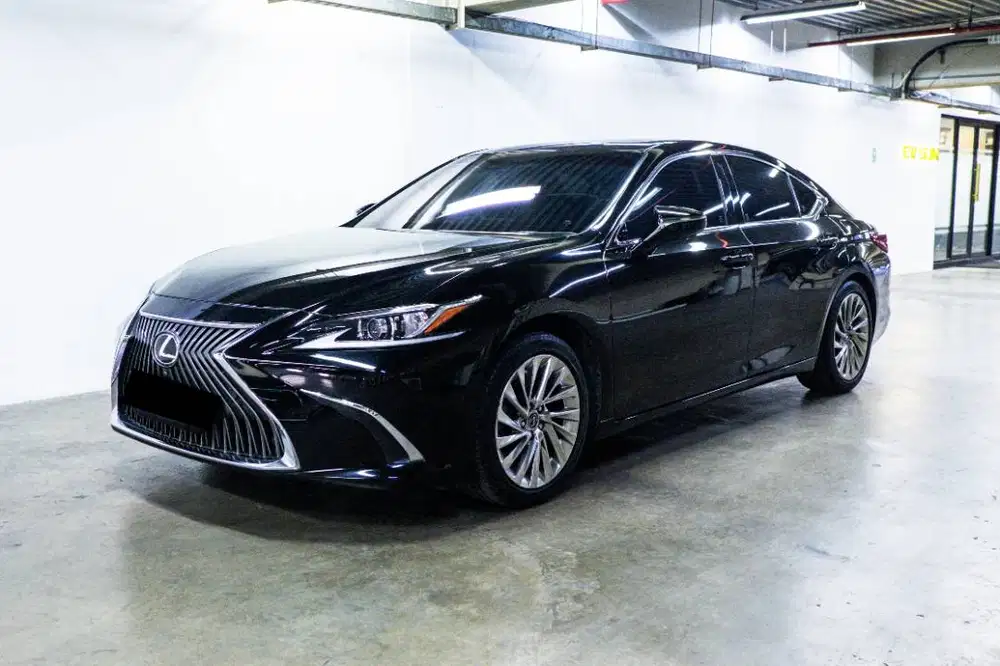 2019 Lexus ES250 Ultra Luxury Perfect Condition tdp 45jt
