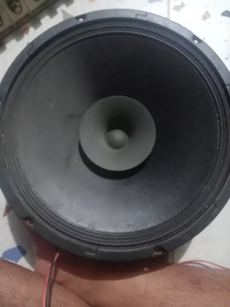 speaker intrumen lexus 12 inch original suara bersih dan bagus