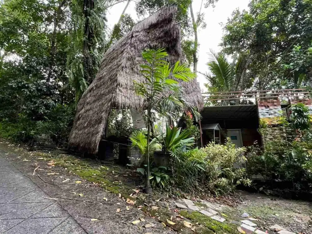 Dijual Tanah Isi Rumah Kayu View Sawah Los Sungai Penebel Tabanan Bali