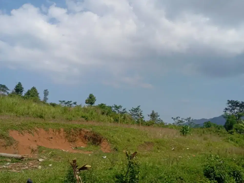 Tanah Luas 11.000 m² Dijual di Desa Hambaro – Harga Terjangkau