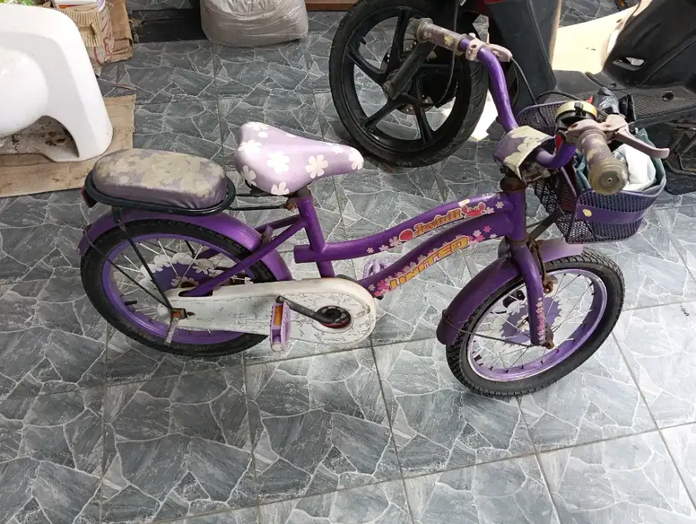 Sepeda anak merk family