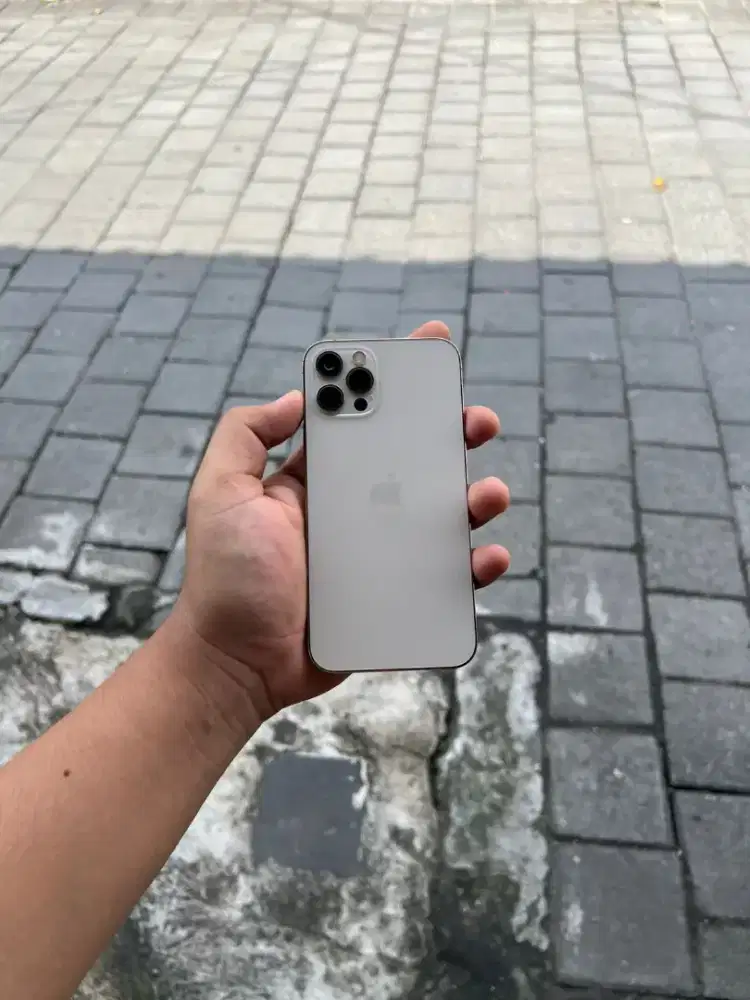 Ip 12 pro 256 GB beacukai
