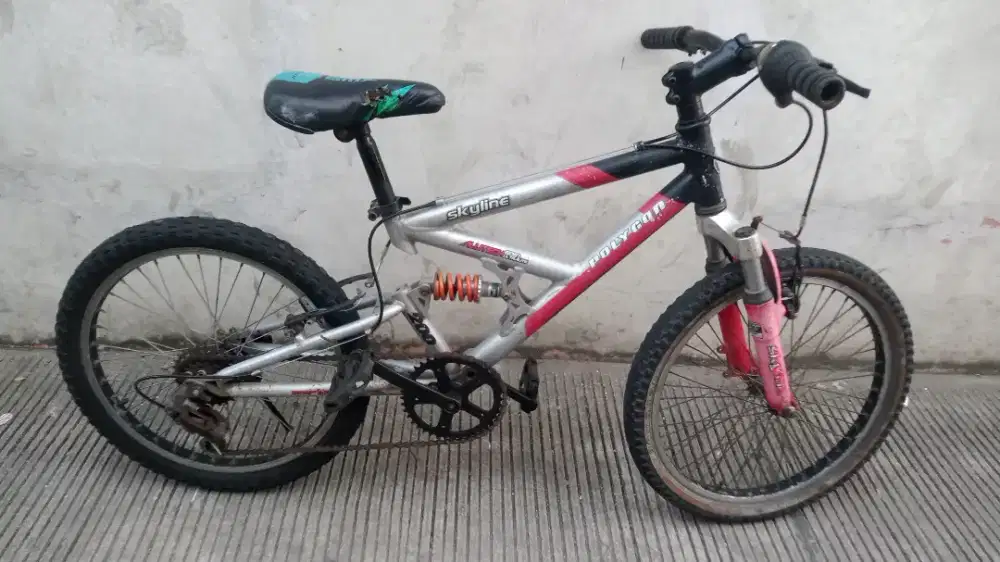 Sepeda MTB Polygon skyline ukuran 20 Alloy