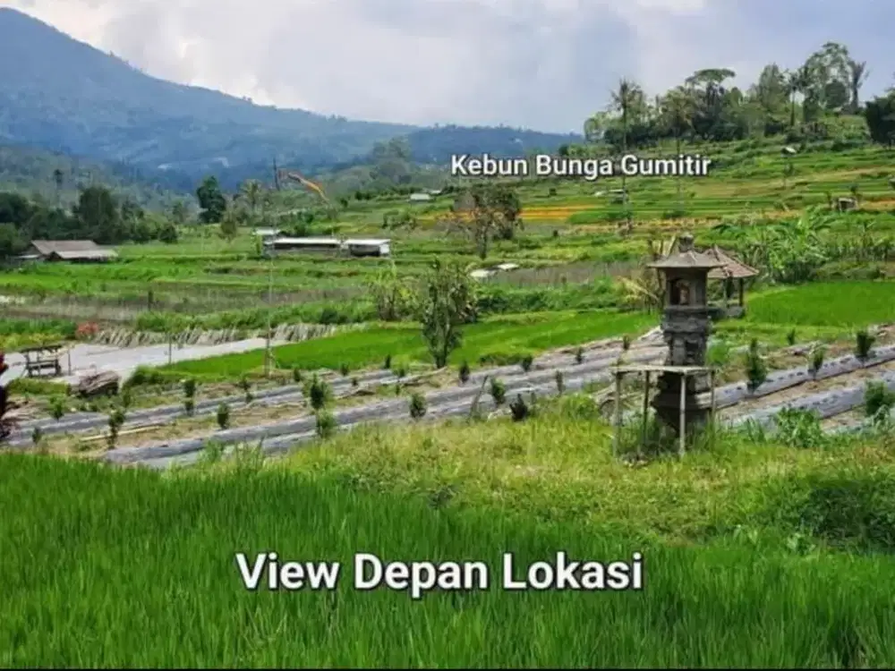 TANAH KOSONG DI BELOK SIDAN BADUNG UTARA DEKAT SMP NEGRI