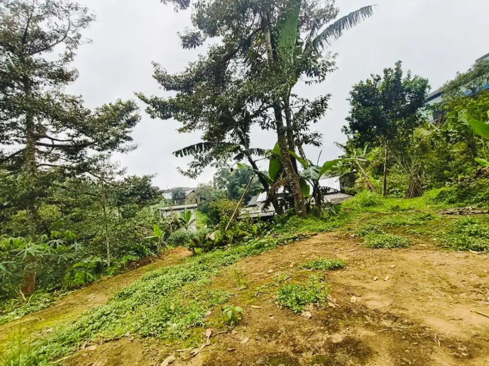 Dijual tanah kemuning