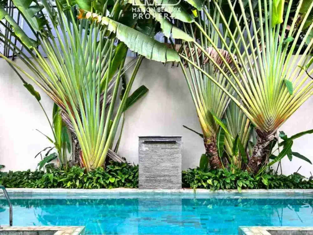 rumah bagus ada kolam renang di bintaro