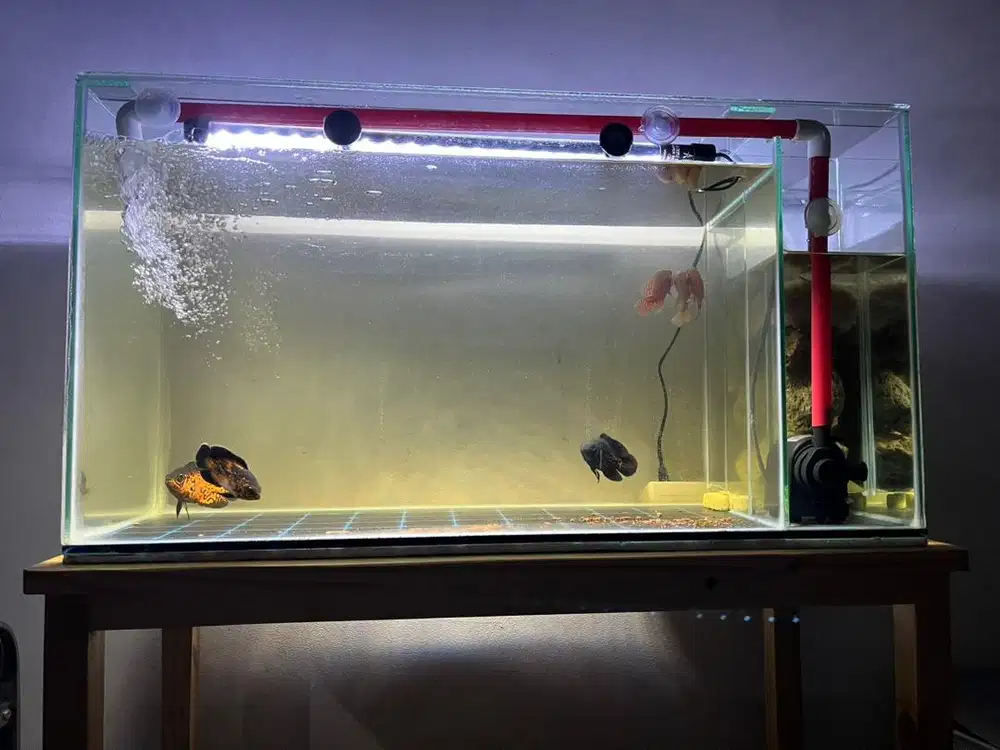 Aquarium filter samping full set