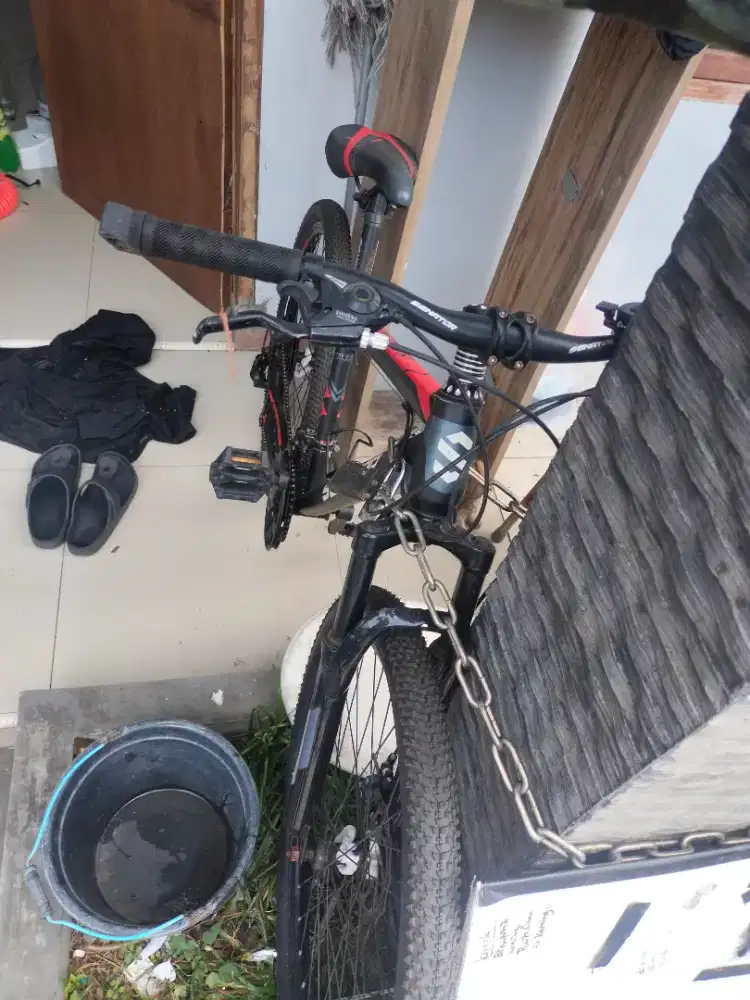 Sepeda dewasa senator