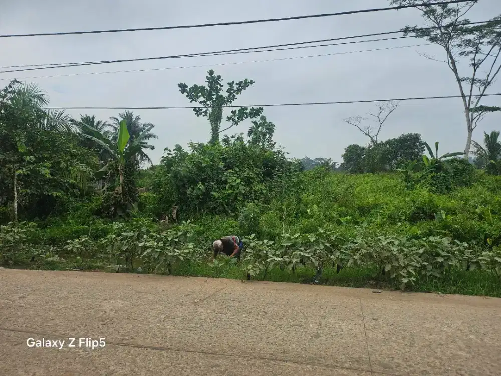 Di jual tanah di jl loa gagak RT 20 desa loa kulu kota