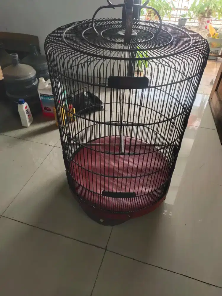 Kandang sangkar muray batu no.1 kualitas baik nego jual cepat sore ini