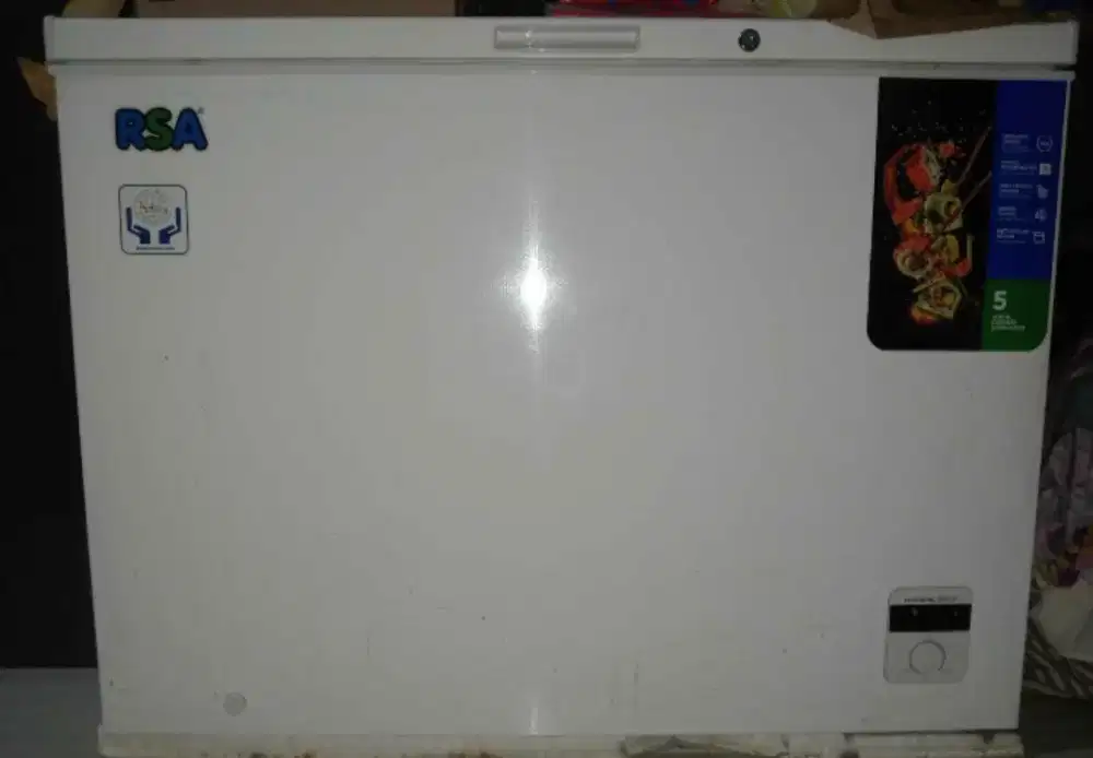 RSA freezer 300L (Nego Tipis)