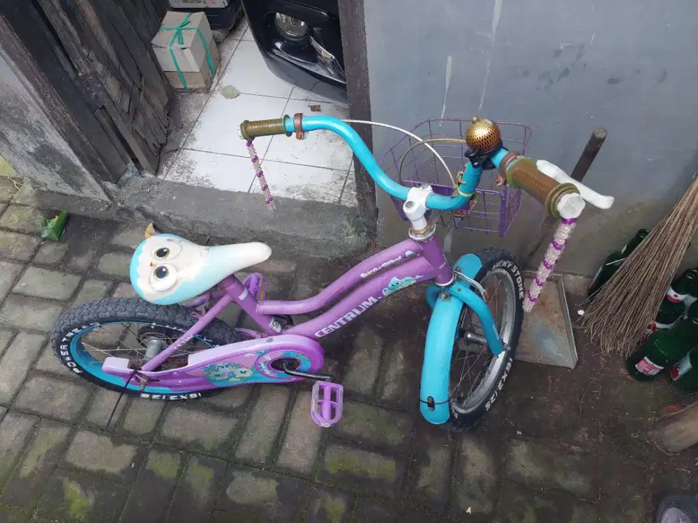 Jual Sepeda Anak (bekas)