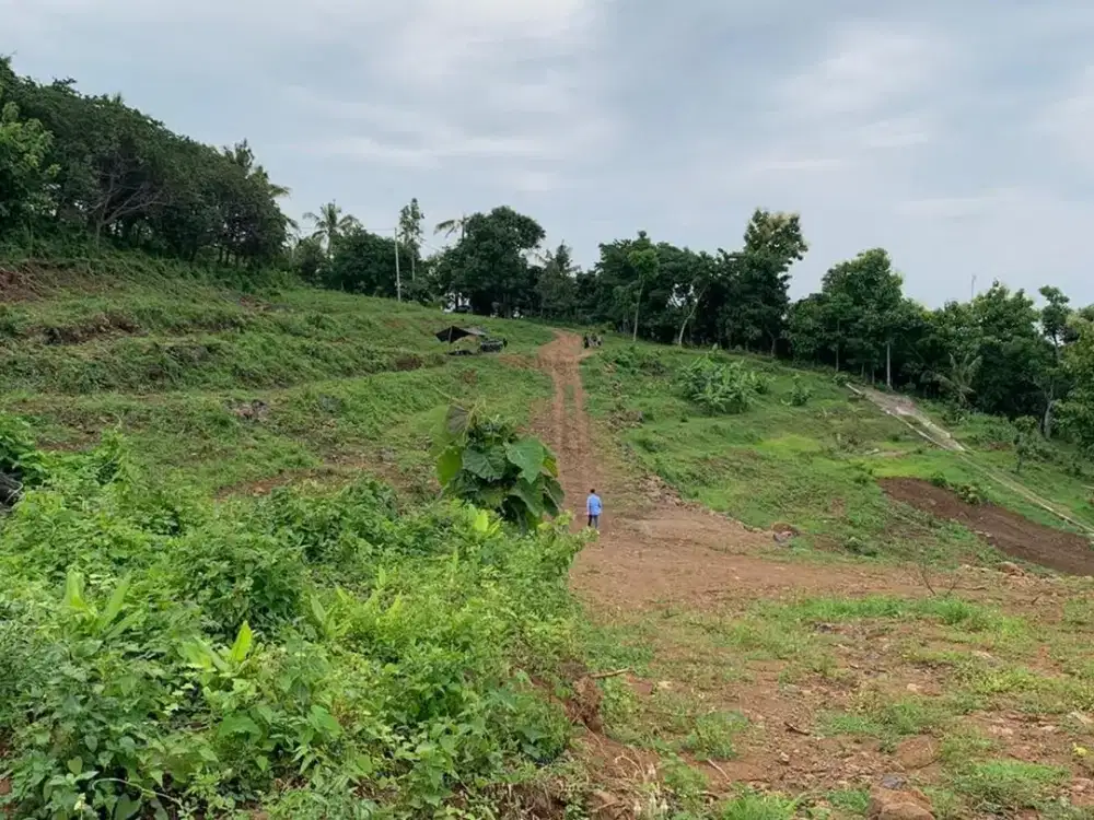 Tanah Premium 82,65 Are Dijual, di Lovina, Buleleng Area