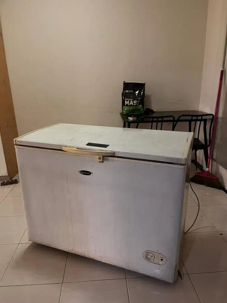 Freezer Frigigate 300 ltr