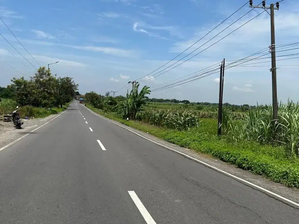 Butuh Cepat Laku! Dijual Kavling di Dawar Blandong Mojokerto