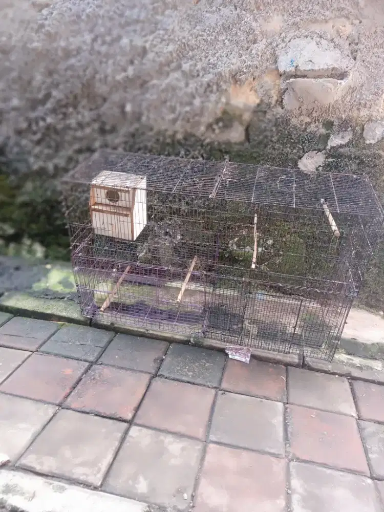 Kandang besi besar kotak