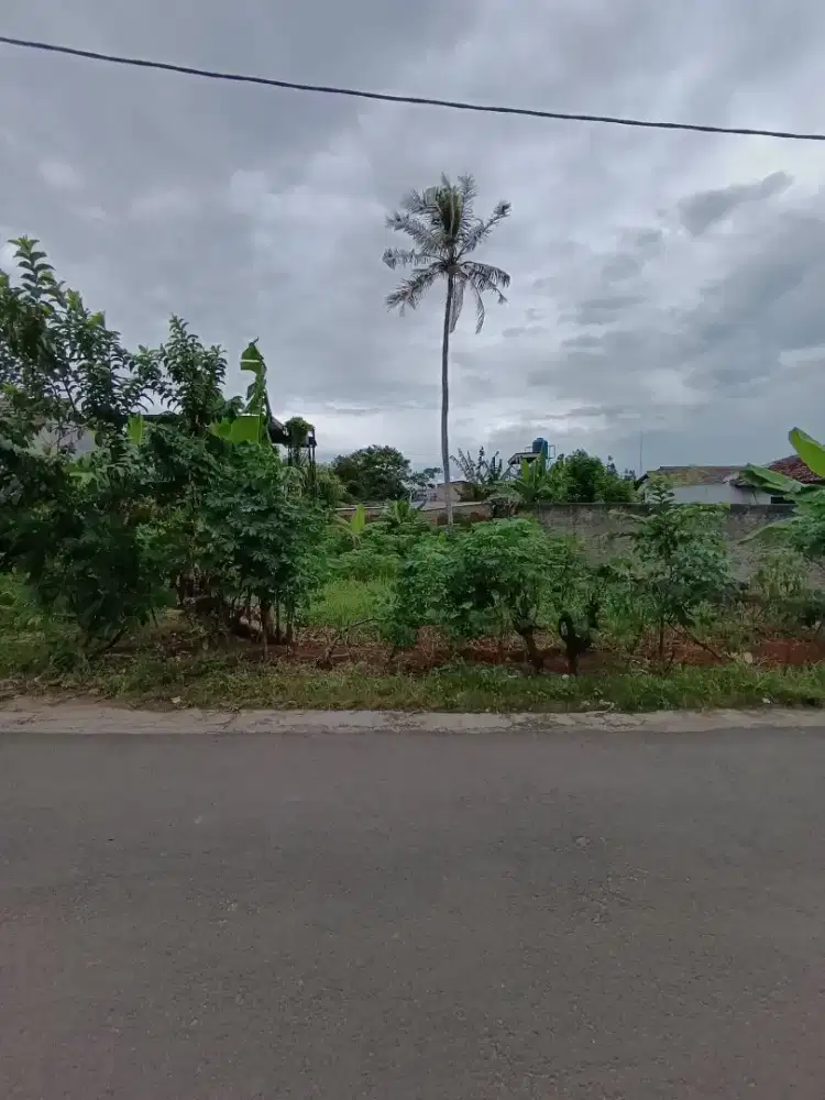 TANAH DI JUAL DEKAT MBK SULTAN AGUNG