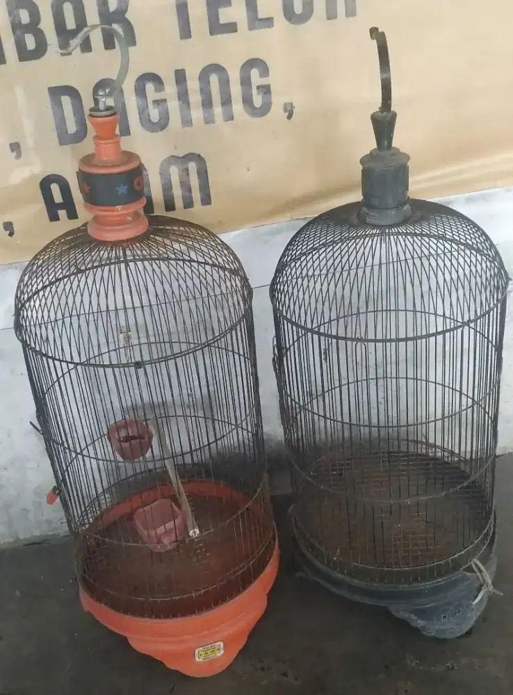 sarang untuk segala jenis burung