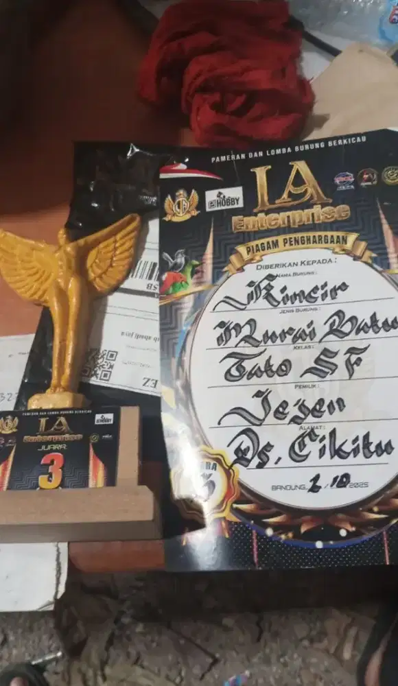 murai batu jantan sehat gacor