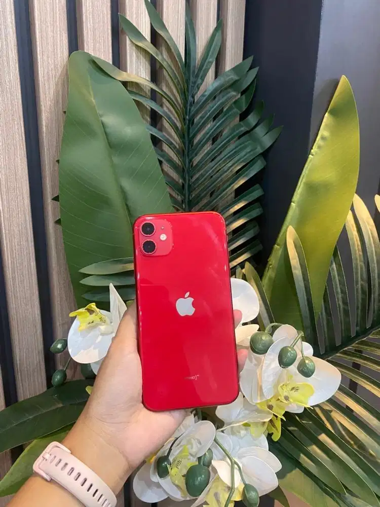 ip 11 basic 256gb red