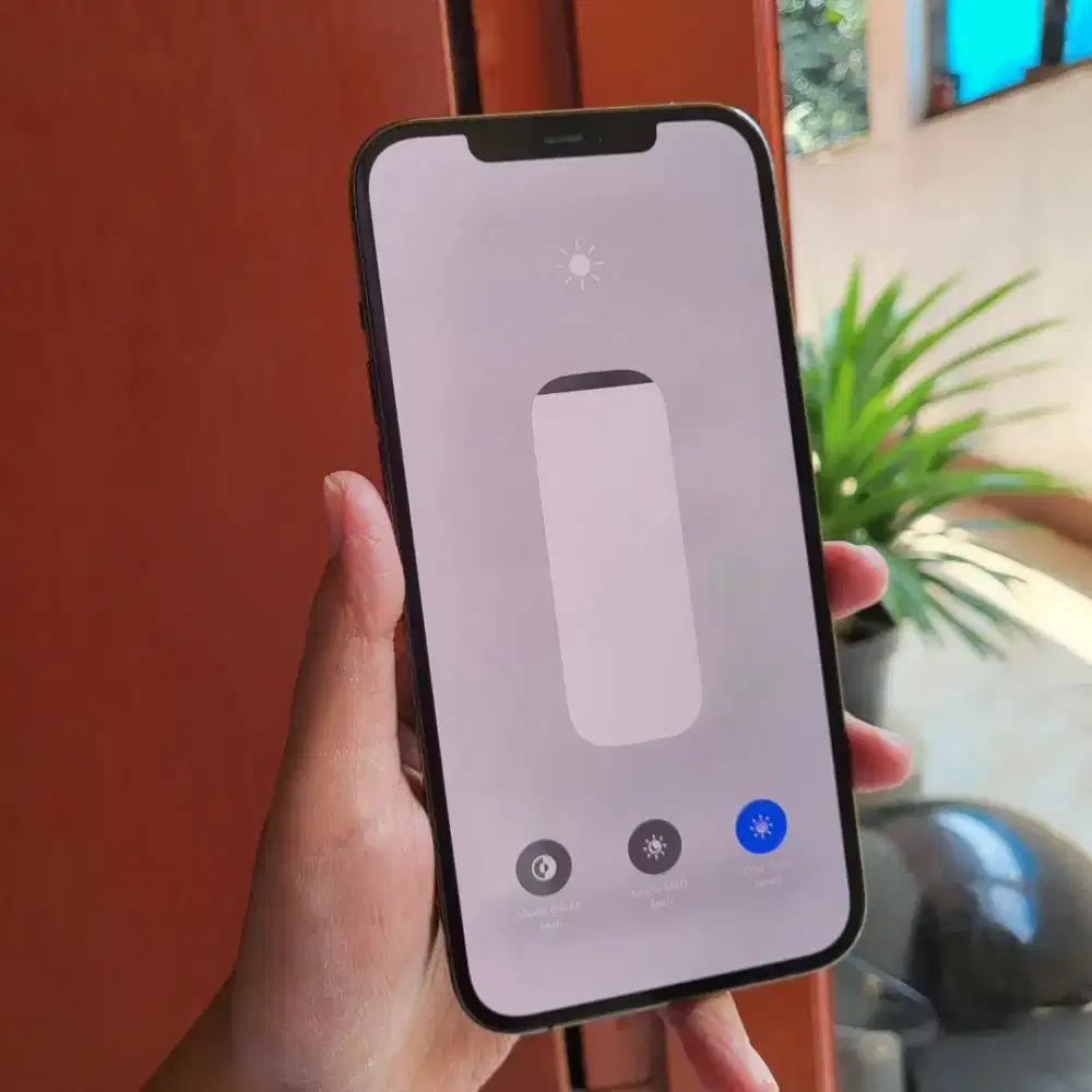 Iphone 12 Pro Max 256 ibox