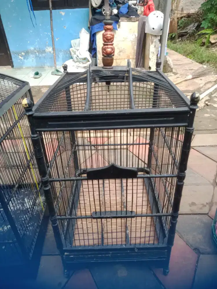 Kandang kotak no 3 dan kandang lb