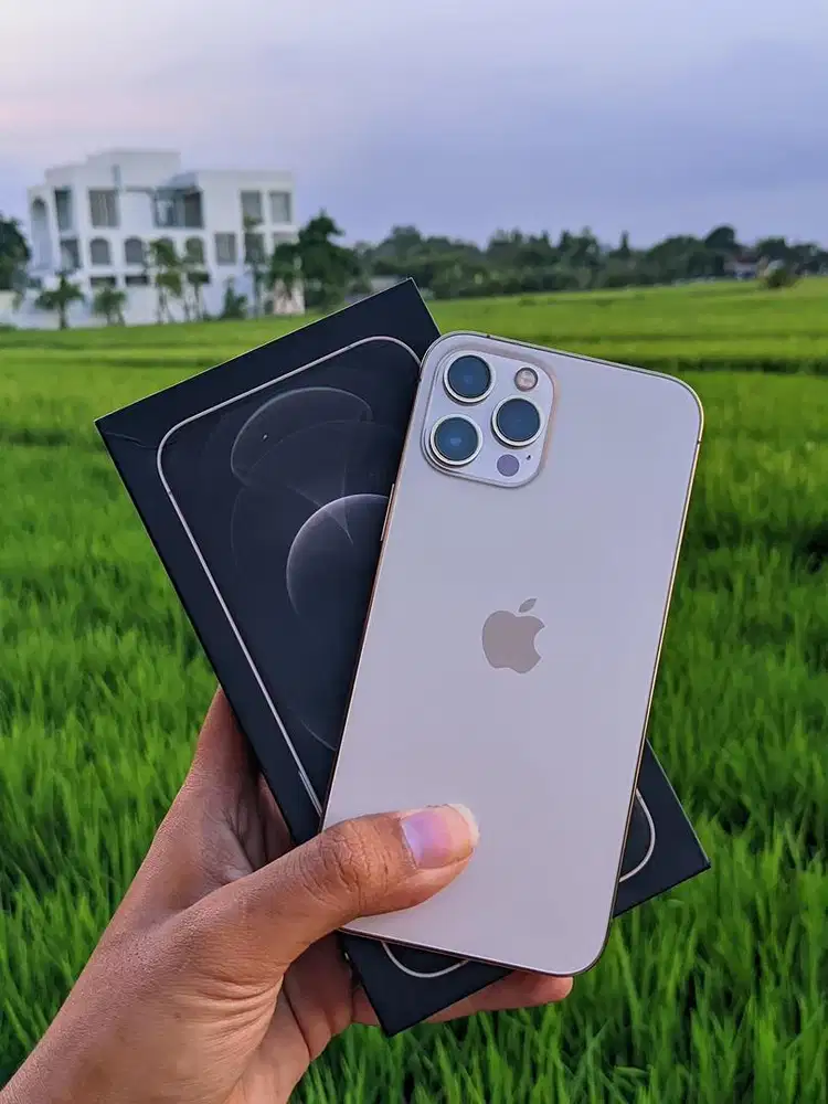 iPhone 12 Pro Max 256 GB All Operator