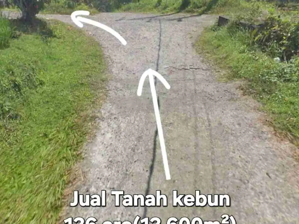 Jual Tanah 136are loss sungai, view air terjun di Selemadeg Tabanan Bali