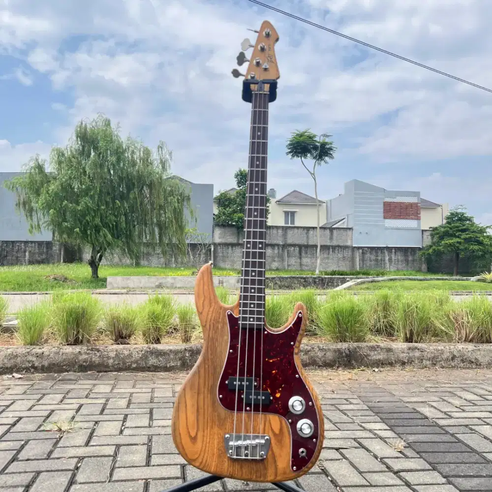 Peavey Fury Precision Bass