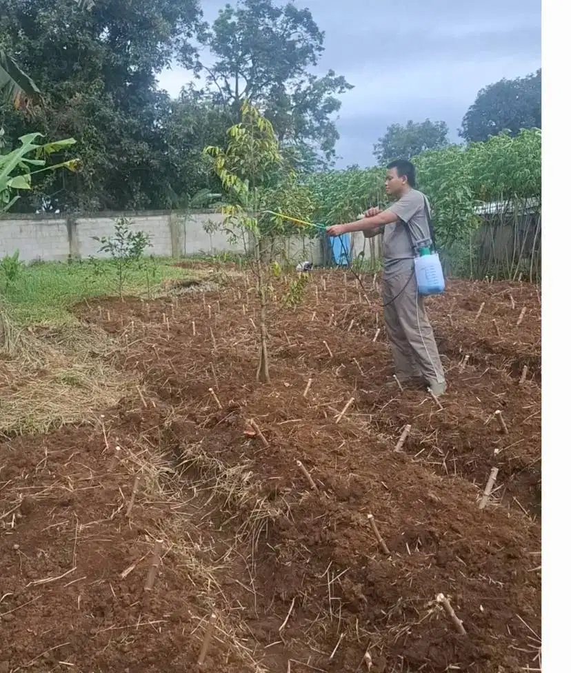 Jual Tanah di Kaki Gunung Salak