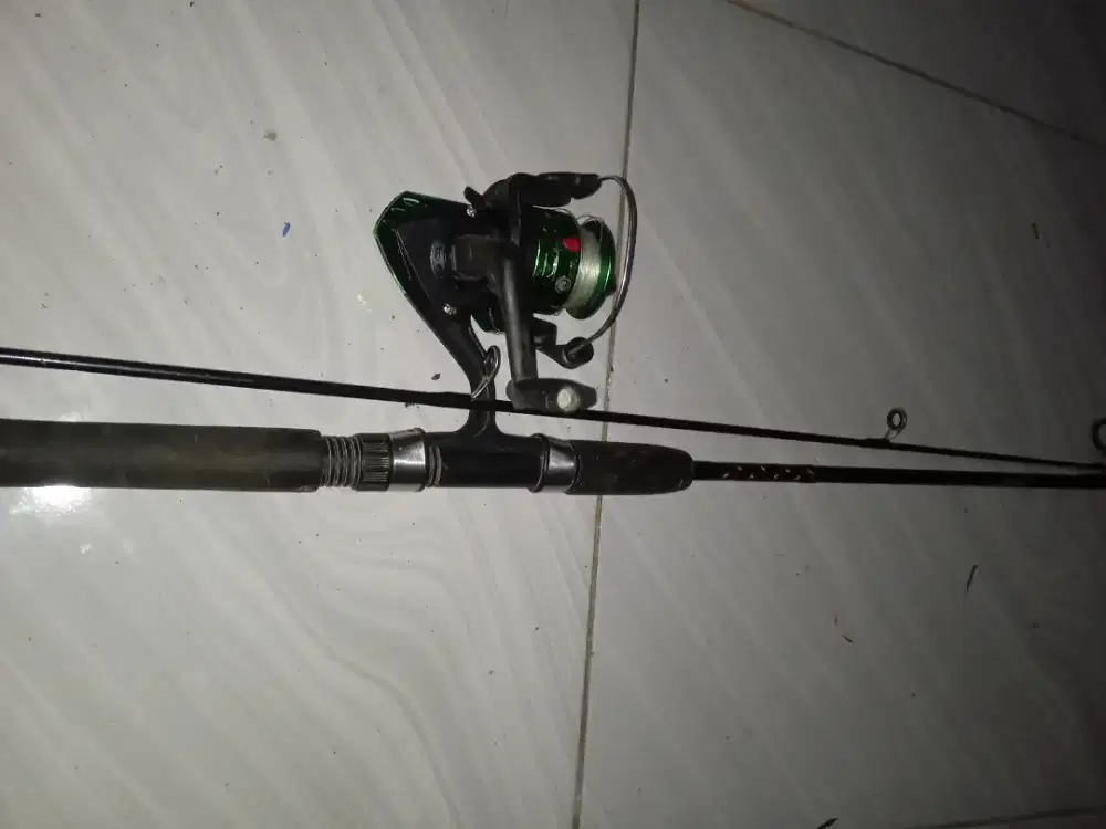 Pancing Daido Ertiga Solid 150 cm