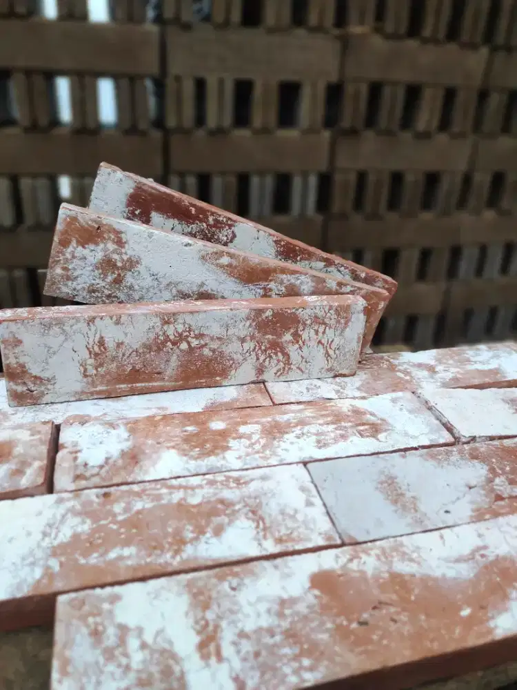 Bata Tempel Vintage¹⁶