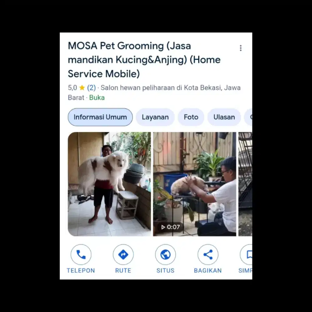 DOG AND CAT PET GROOMING HOME SERVICE