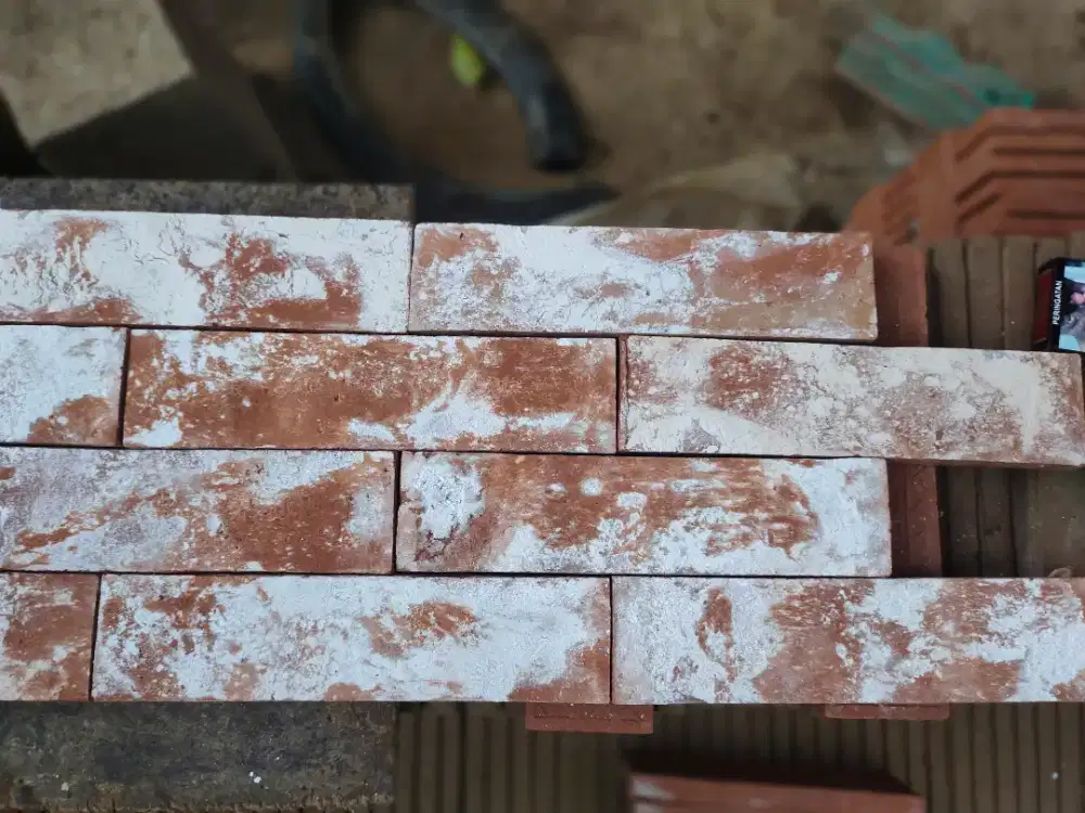 Bata Tempel Vintage¹⁹