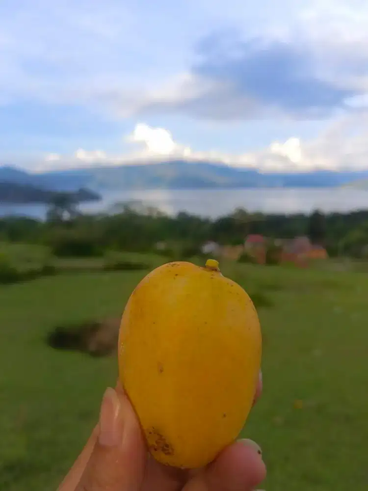 Mencari Pengasuh Anak