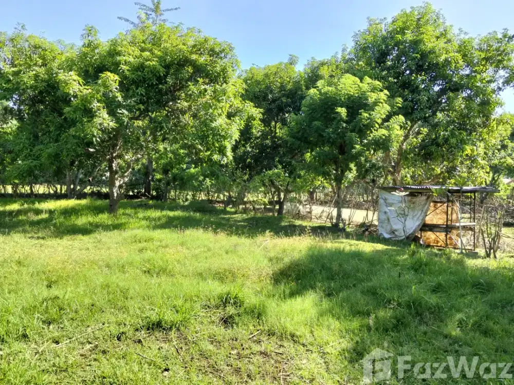 Land for sale in Bingin, Bali