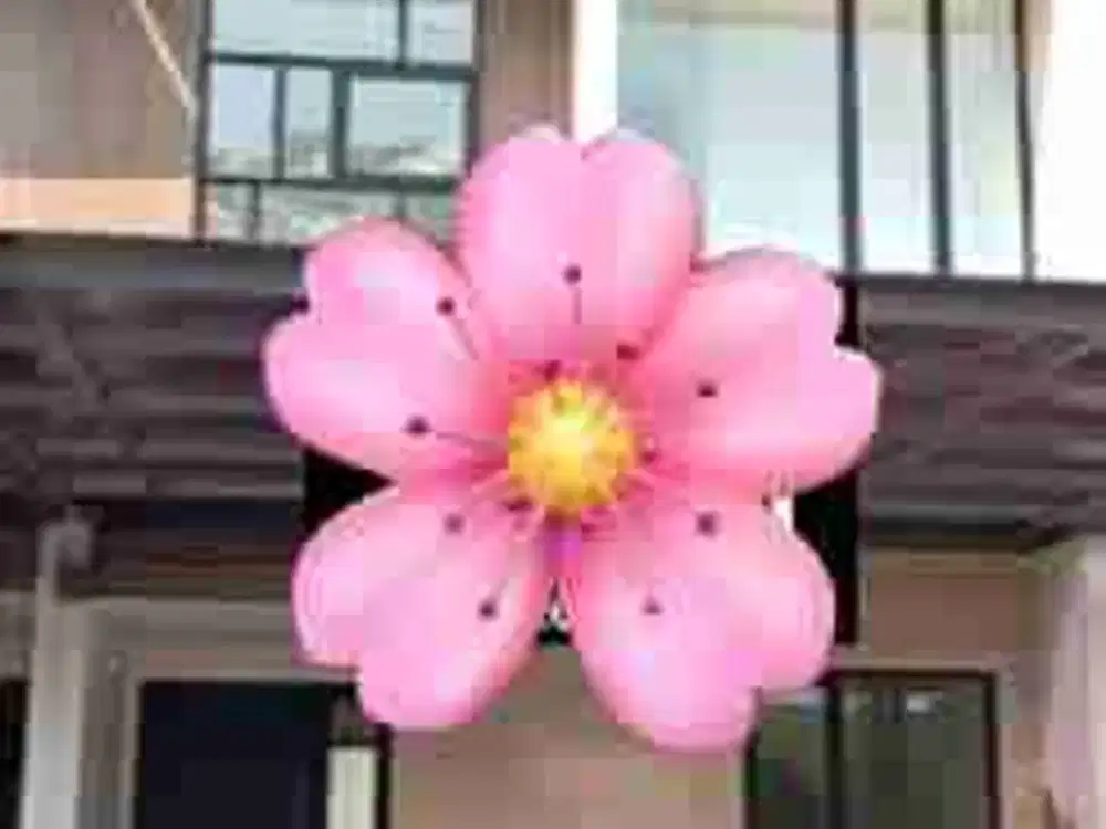 Disewakan rumah rapih siap huni cluster lasein jgc