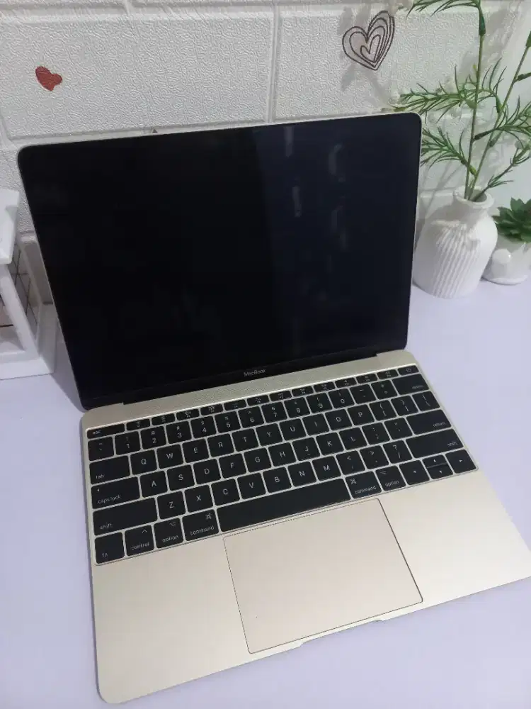 Macbook 12 inch 2017 RAM 8GB SSD 256GB