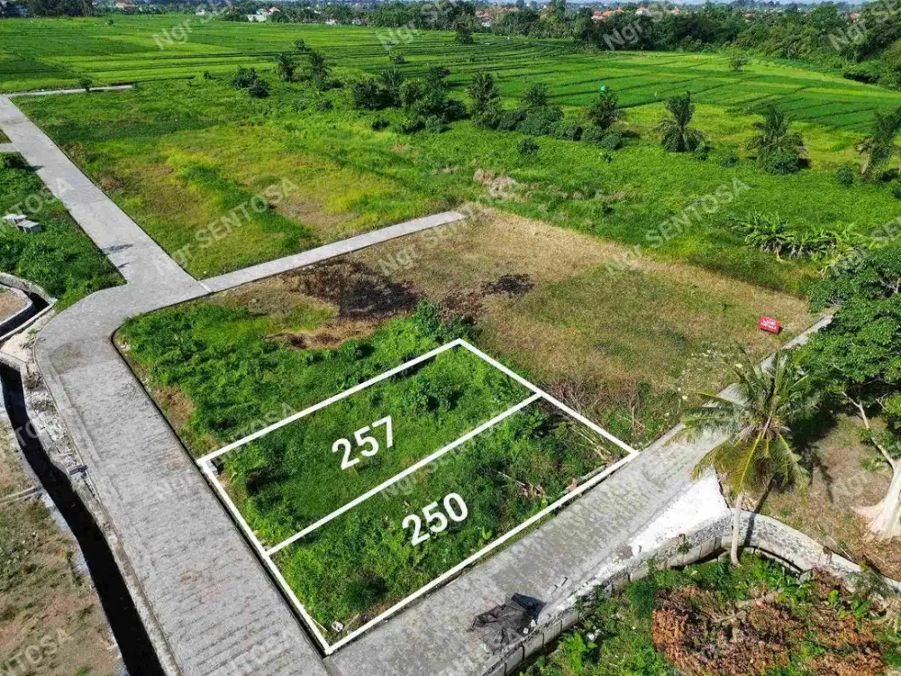 Dijual Tanah Kedungu Tanah Lot Beraban