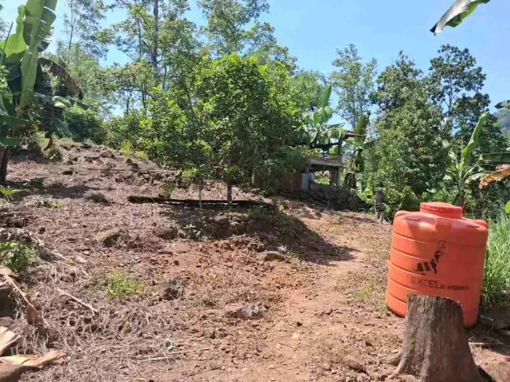 DIJUAL TANAH KEBUN GIGIT ASPAL DEKAT SUNGAI